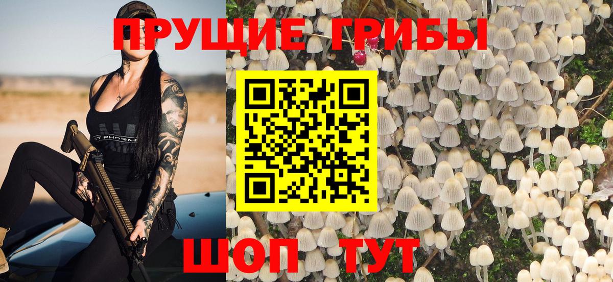 Крымск  Псилоцибиновые грибы Psilocybe  Вход с VPN 
